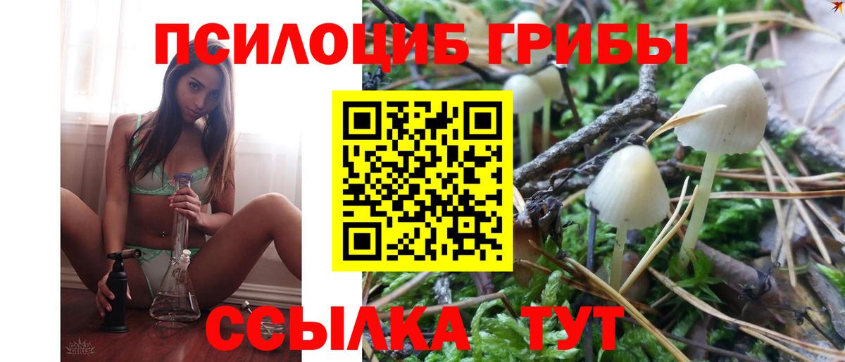 Псилоцибиновые грибы мухоморы Туапсе