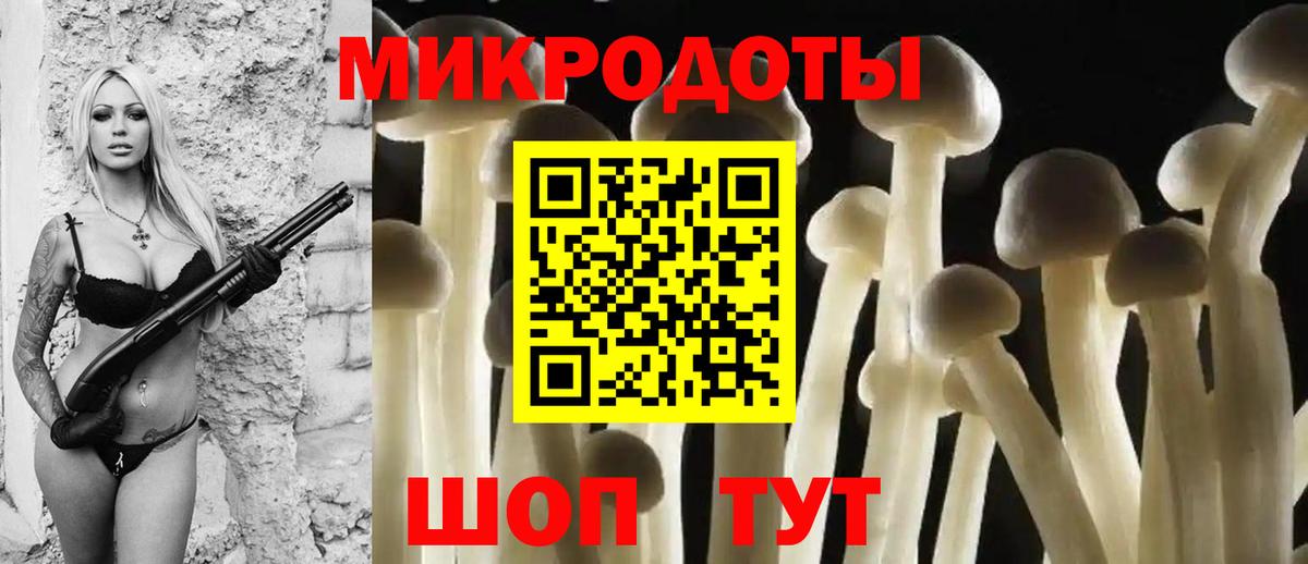 Псилоцибиновые грибы Psilocybe  Вход с VPN  Туапсе 