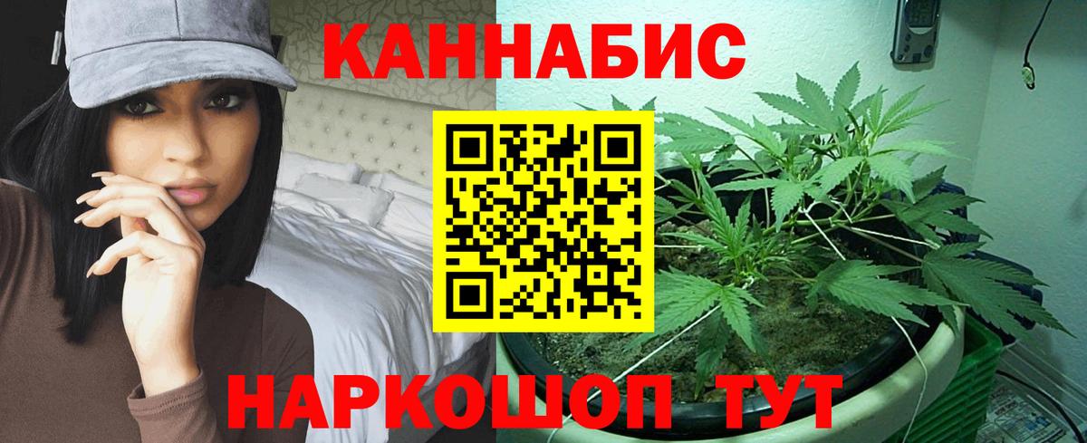Бошки марихуана конопля Туапсе